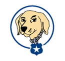 k9 web protection